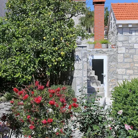 With Parking Space Lumbarda, Korcula - 9474