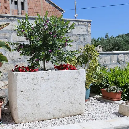 With Parking Space Lumbarda, Korcula - 9474