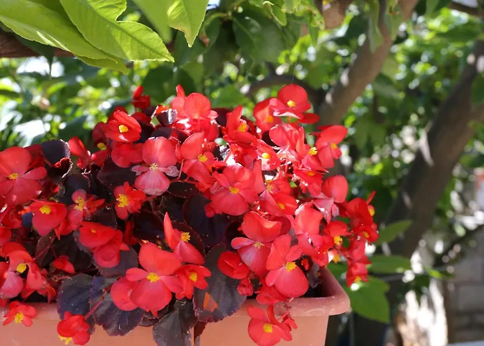 아파트 With Parking Space Lumbarda, Korcula - 9474